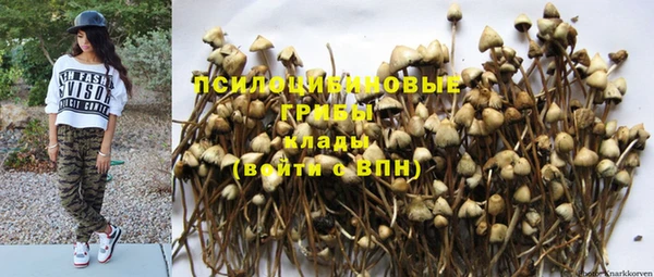 стафф Нягань