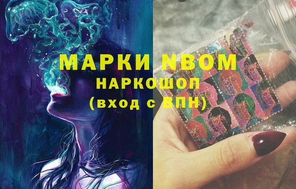 метадон Няндома