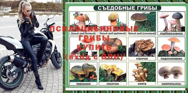 метадон Няндома